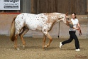 24-ApHC HIH_059